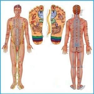 Magnetic Height Booster Massager