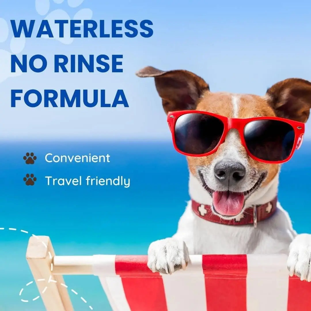 Flazia Waterless Dog Shampoo (Pack of 2)