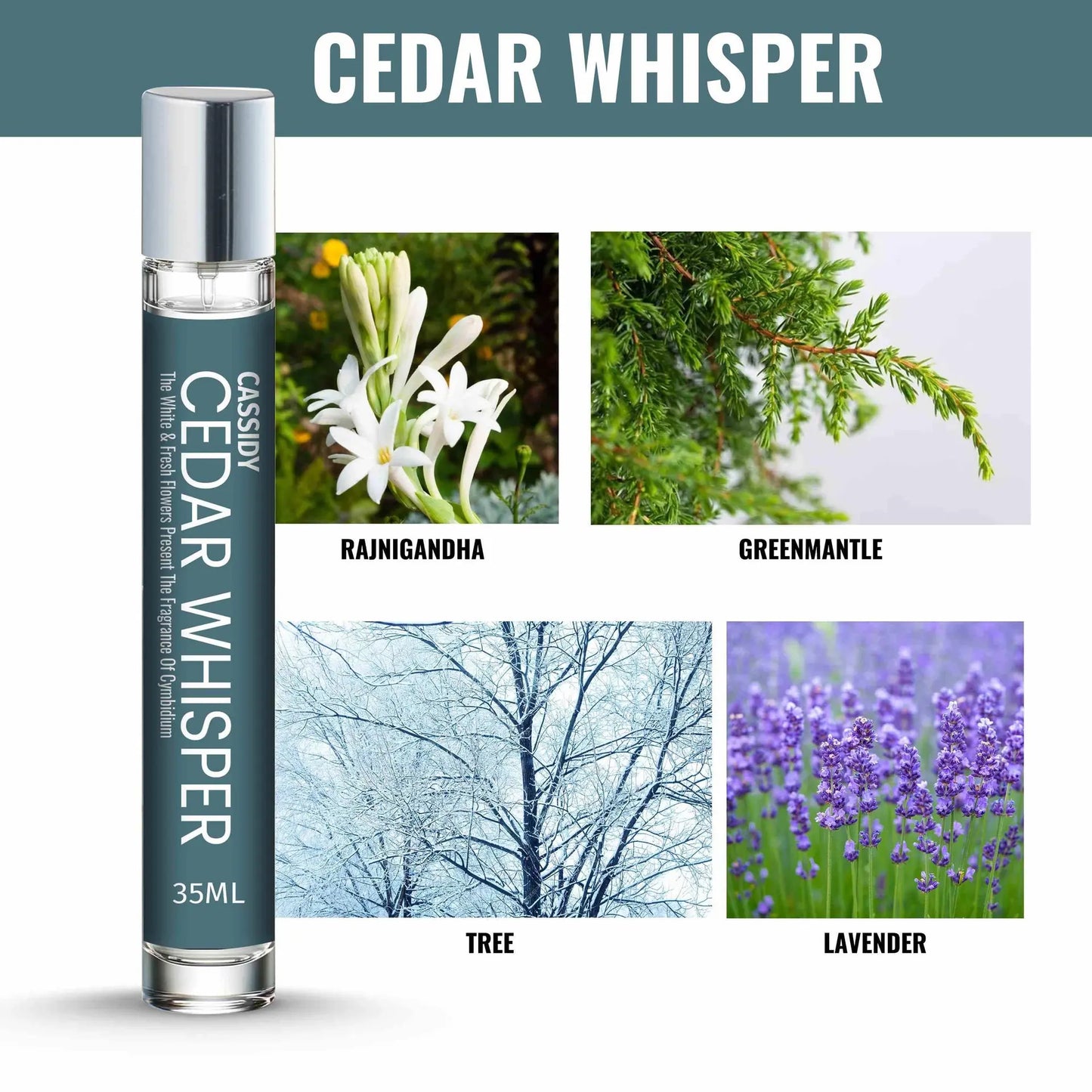 CASSIDY Cedar Whisper Perfume