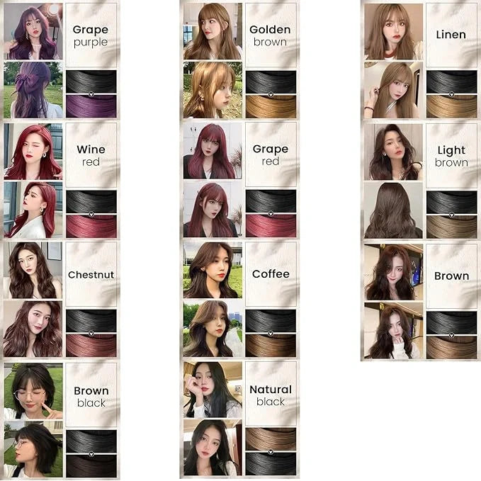 Colorful Plant Hair Dye Comb Shampoo – 100ml (Pack of 2)