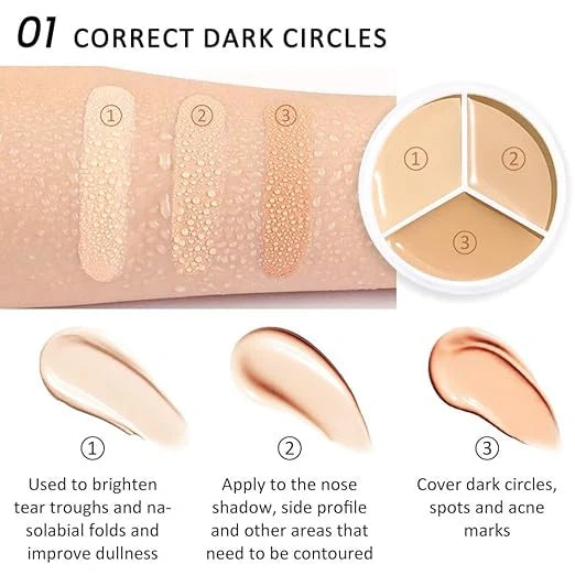 Full Cover Up Pro Concealer