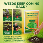 Cyclosinone Granular Weed Killer