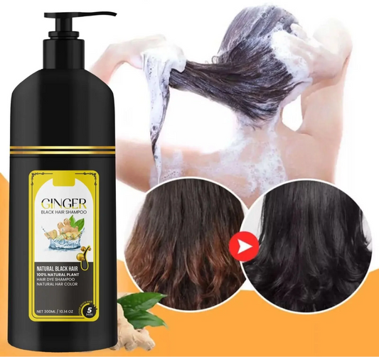 Ginger Black Hair Shampoo – 300ml