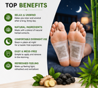 Myallmall Organic Natural Ingredients Detox Foot Pads for Body | Pack of 10