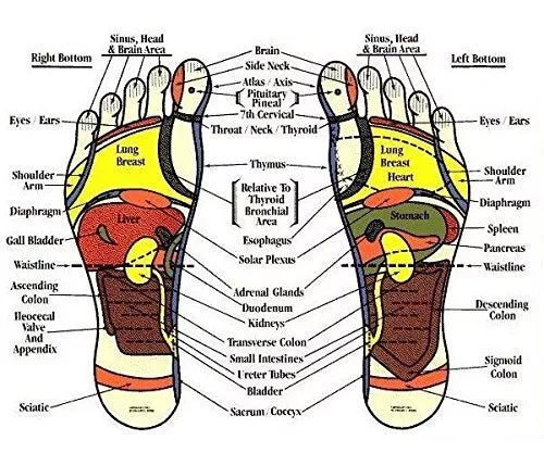 Magnetic Height Booster Massager